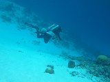 Curacao 04-12 477